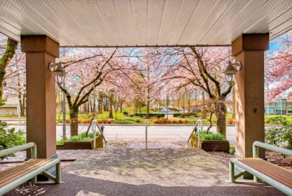 Front Yard Photo of 104 11960 Harris Road, Pitt Meadows, BC