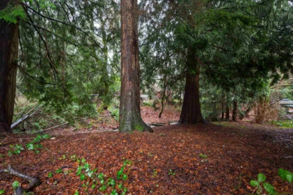 Neighborhood Park Photo Near 32472 Grebe Crescent, Mission, BC