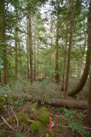 Lot 70 Merrill Road, Madeira Park, BC, Madeira Park — Land for sale