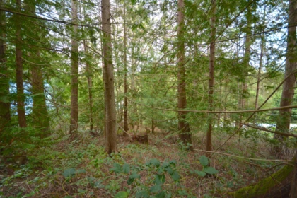 Lot 70 Merrill Road, Madeira Park, BC, Madeira Park — Land for sale
