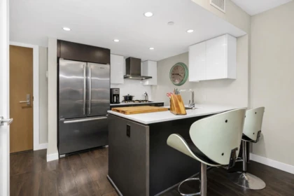Kitchen Photo of 311 1618 Quebec Street, Vancouver, BC