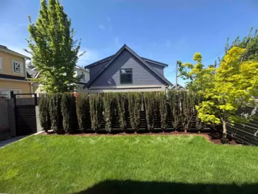 Outdoor Patio Photo of 3768 Fleming Street, Vancouver, BC