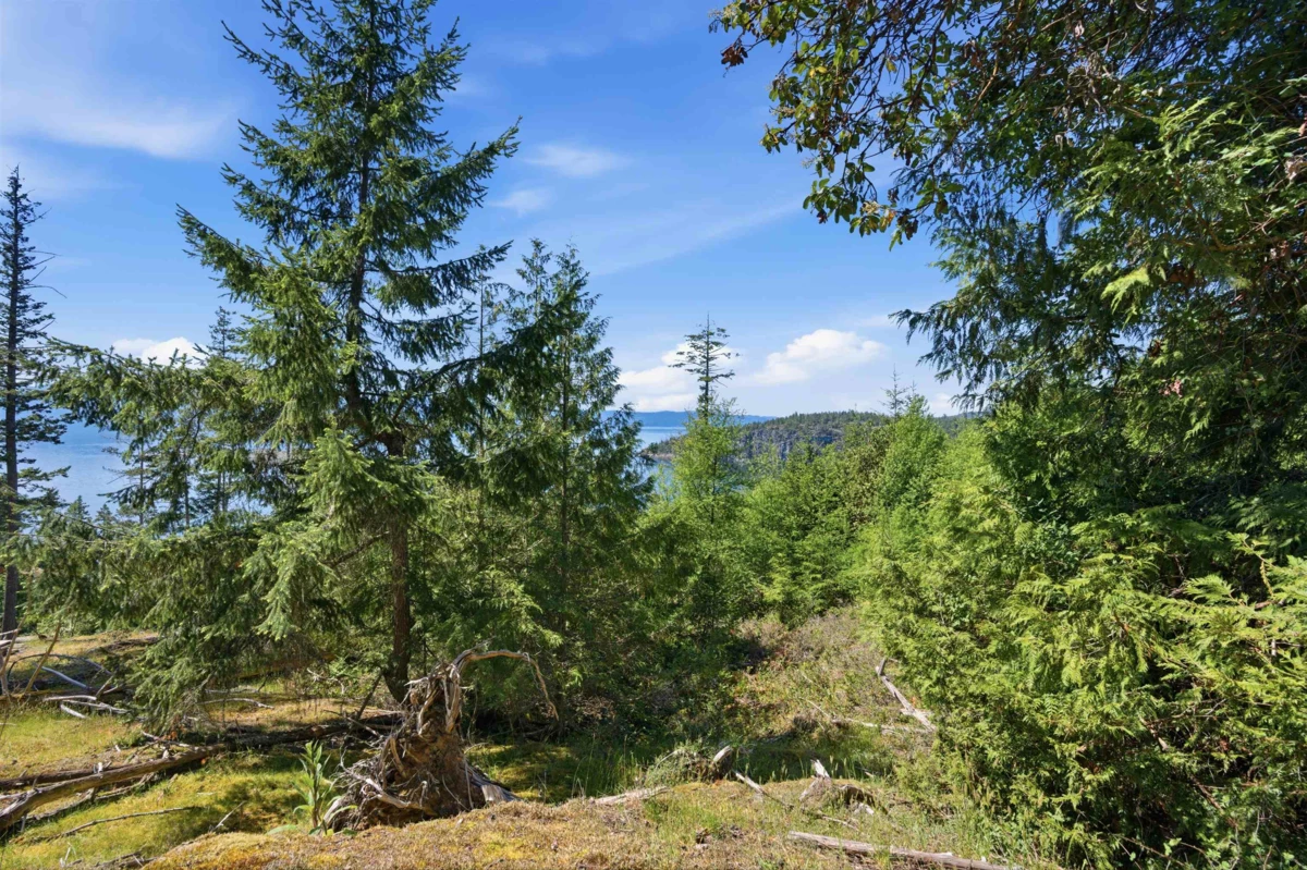 Family Room Photo of Lot 23 Sakinaw Drive, Garden Bay, BC