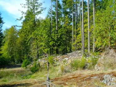 Basement Recreation Room Photo of Lot 23 Sakinaw Drive, Garden Bay, BC