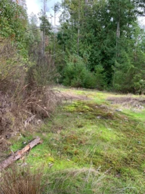 Front Yard Photo of Lot 23 Sakinaw Drive, Garden Bay, BC
