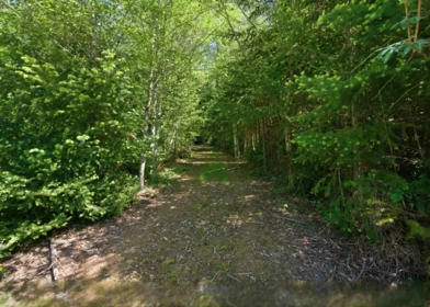 Garden / Landscaping Photo of Lot 23 Sakinaw Drive, Garden Bay, BC