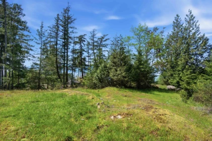 Kitchen Island Photo of Lot 23 Sakinaw Drive, Garden Bay, BC