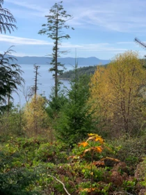 Mudroom Photo of Lot 23 Sakinaw Drive, Garden Bay, BC