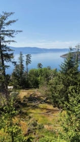Outdoor Kitchen Photo of Lot 23 Sakinaw Drive, Garden Bay, BC