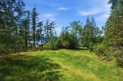 Pantry Photo of Lot 23 Sakinaw Drive, Garden Bay, BC