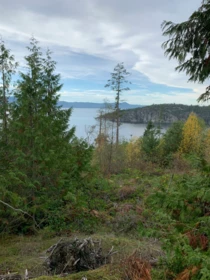 Staircase Photo of Lot 23 Sakinaw Drive, Garden Bay, BC