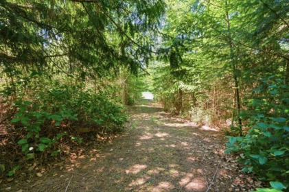 Swimming Pool Photo of Lot 23 Sakinaw Drive, Garden Bay, BC
