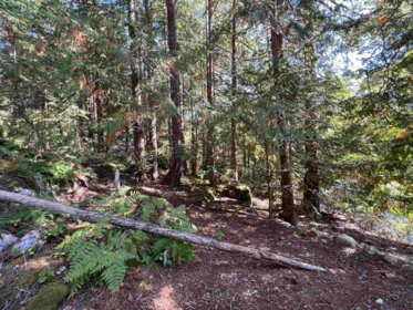 Breakfast Nook Photo of Lot 19 Tuwanek Place, Sechelt, BC