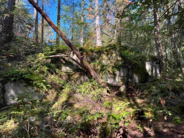 Pantry Photo of Lot 19 Tuwanek Place, Sechelt, BC