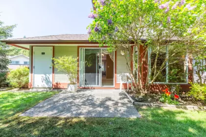 Aerial View of 42 22740 116 Avenue, Maple Ridge, BC