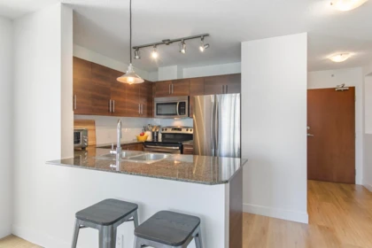 Kitchen Photo of 1007 833 Agnes Street, New Westminster, BC