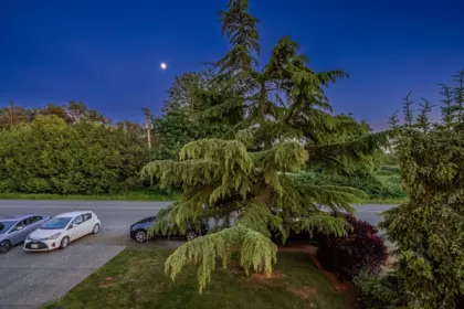 Basement Recreation Room Photo of 26863 24 Avenue, Langley, BC