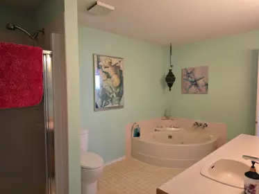 Powder Room Photo of 3 32165 7TH AVENUE, Mission BC V2V 1Z0