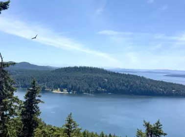 346 Deacon Hill Road, Mayne Island, BC, Mayne Island — Land for sale