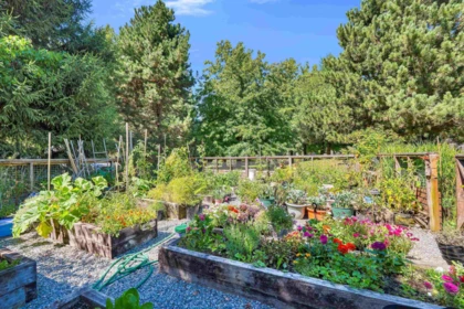 Front Yard Photo of 107 40147 Government Road, Squamish, BC