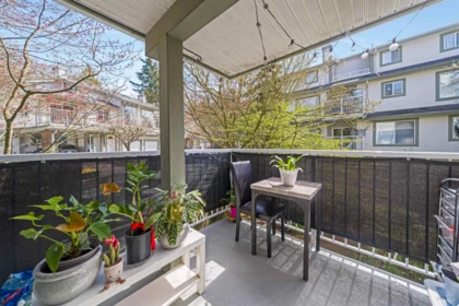 Loft / Bonus Room Photo of 24 8892 208 Street, Langley, BC