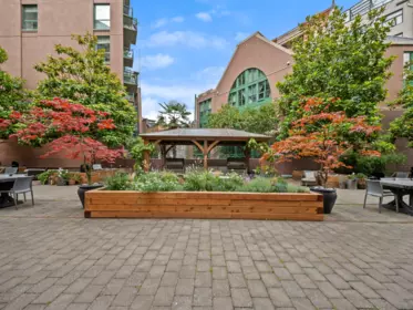 Backyard Photo of 47 E Cordova Street, Vancouver, BC