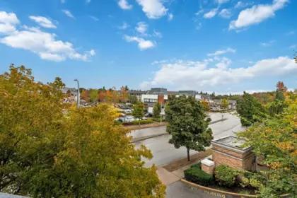 Garden / Landscaping Photo of 328 8915 202 Street, Langley, BC