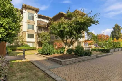 216 11935 Burnett Street, Maple Ridge, BC, Maple ridge — Apartment/Condo for sale