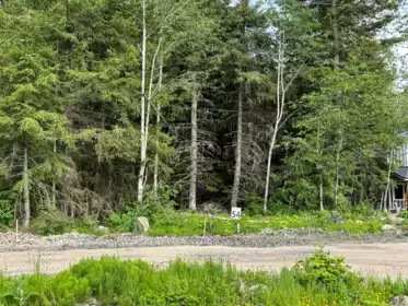 SVE54 Old Hope Princeton Highway, Hope, BC, Sunshine Valley —  bed land for sale