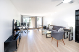 MLS R3029873