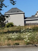 MLS R3032273