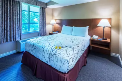 319 1490 Portage Road, Pemberton, BC, Pemberton — Apartment/Condo for sale