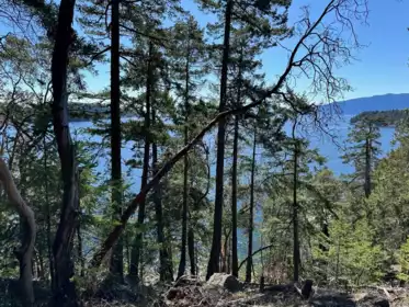 Exterior Rear Photo of LOT 48 Orca Road, Garden Bay, BC