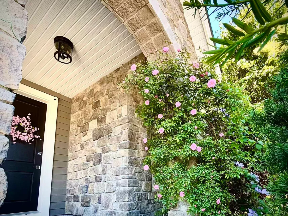 Backyard Photo of 16412 26b Avenue, Surrey, BC