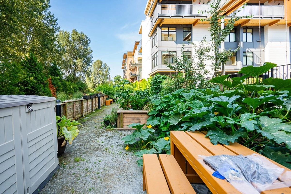 Backyard Photo of 202 310 Salter Street, New Westminster, BC