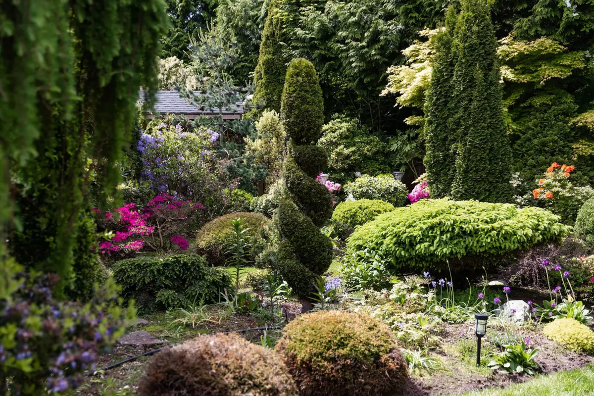 Front Yard Photo of 12986 20 Avenue, Surrey, BC