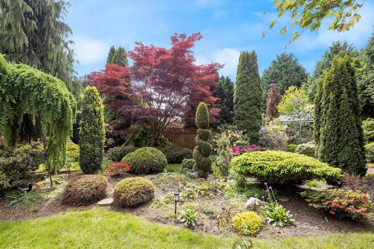 Living Room Photo of 12986 20 Avenue, Surrey, BC