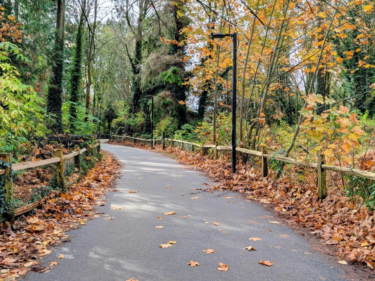 Garden / Landscaping Photo of 3D 328 Taylor Way, West Vancouver, BC