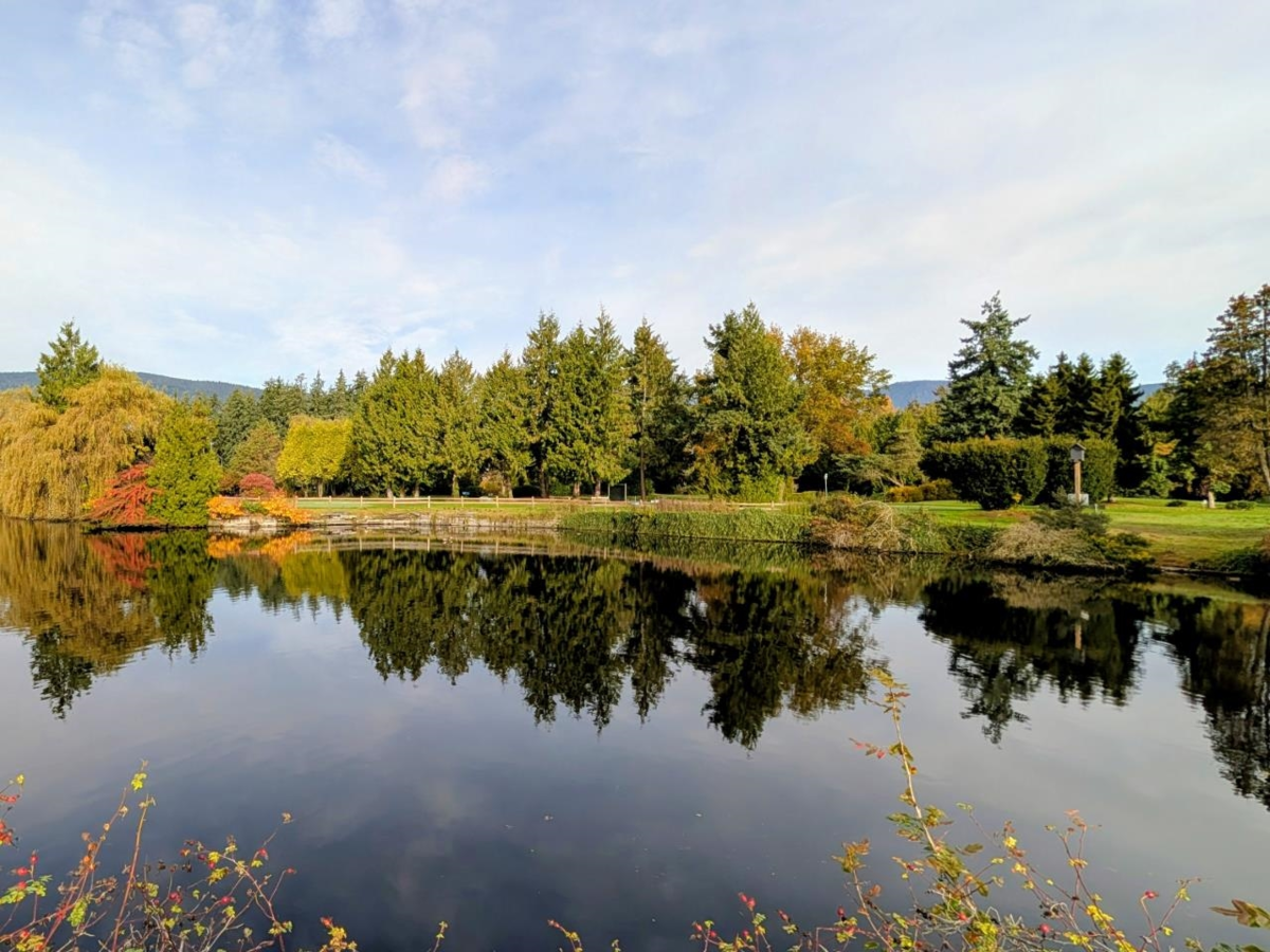 Neighborhood Park Photo Near 3D 328 Taylor Way, West Vancouver, BC