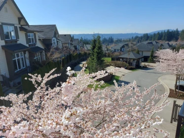 Backyard Photo of 62 3400 Devonshire Avenue, Coquitlam, BC