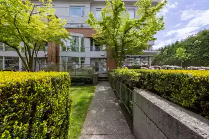 Backyard Photo of 205 638 W 45th Avenue, Vancouver, BC
