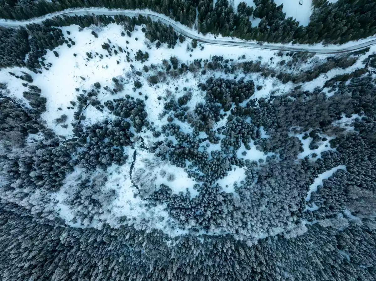 Bedroom 2 Photo of 2730 Blackwater Road, D'Arcy, BC