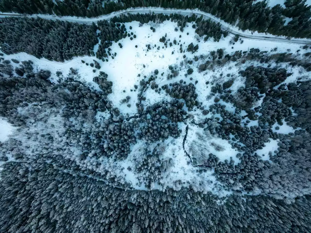 Bedroom 3 Photo of 2730 Blackwater Road, D'Arcy, BC