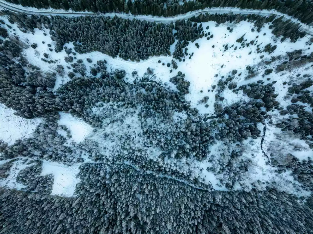 Bedroom 4 Photo of 2730 Blackwater Road, D'Arcy, BC