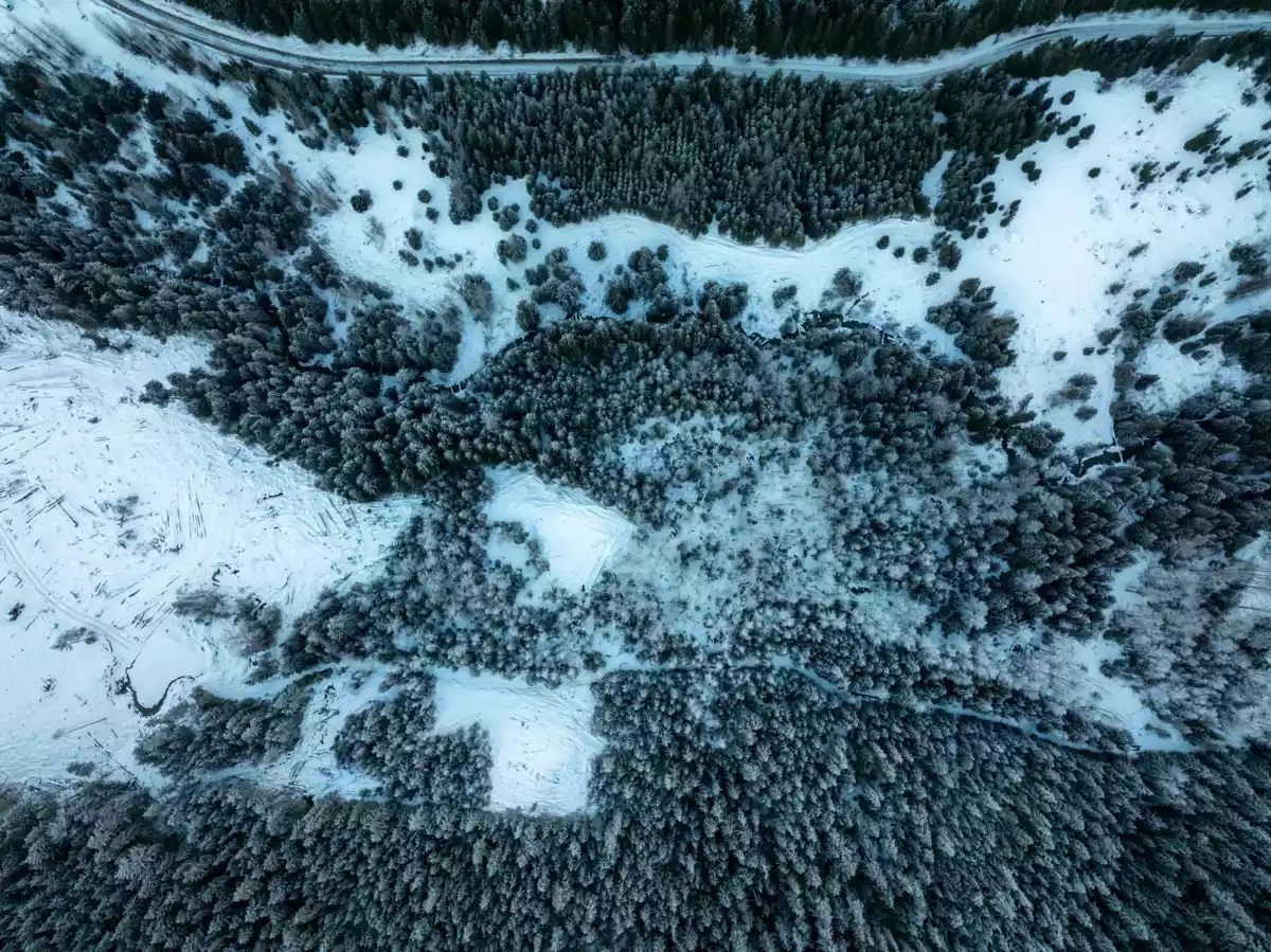 Guest Bathroom Photo of 2730 Blackwater Road, D'Arcy, BC