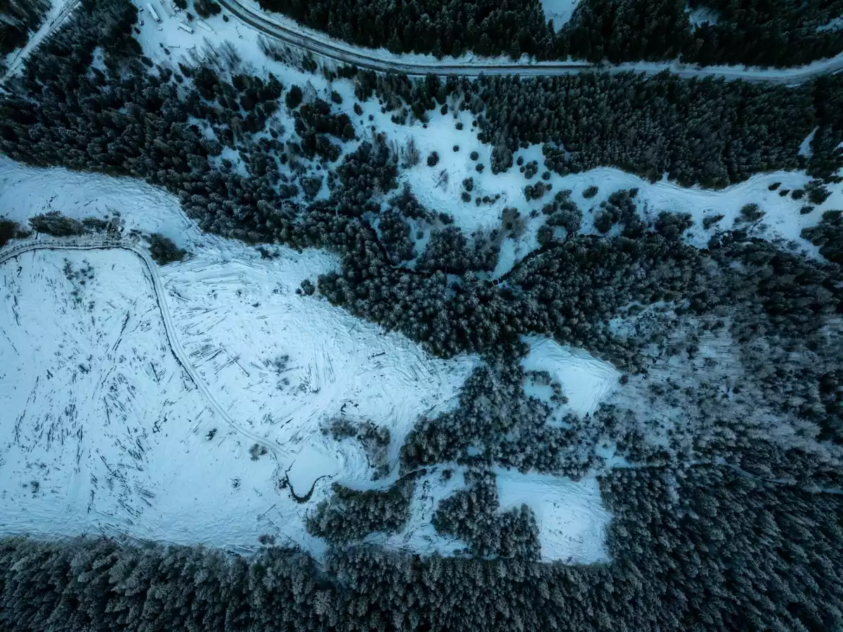 Powder Room Photo of 2730 Blackwater Road, D'Arcy, BC