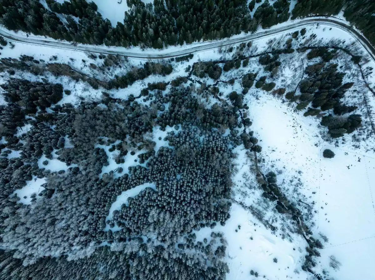 Primary Bathroom Photo of 2730 Blackwater Road, D'Arcy, BC