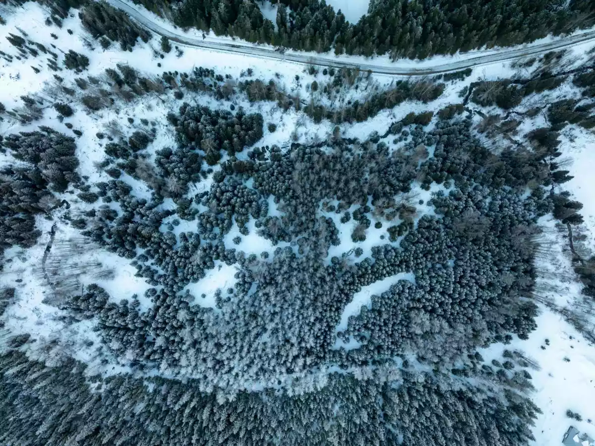 Walk-In Closet Photo of 2730 Blackwater Road, D'Arcy, BC