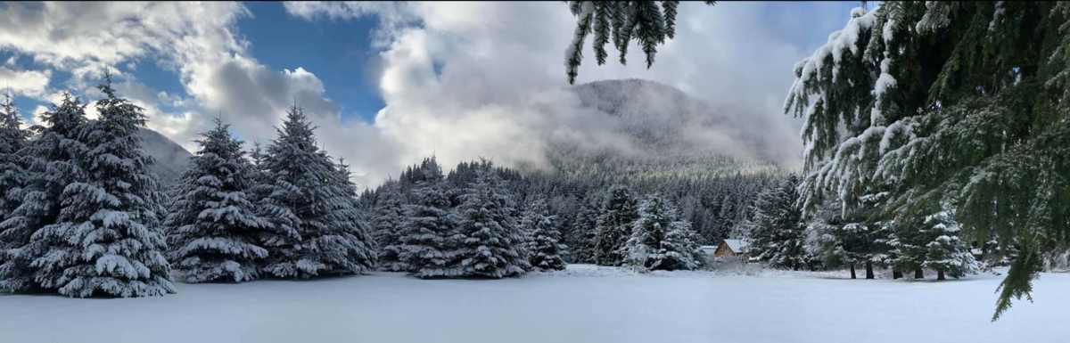 Backyard Photo of 70911 Old Hope Princeton Highway, Sunshine Valley, BC