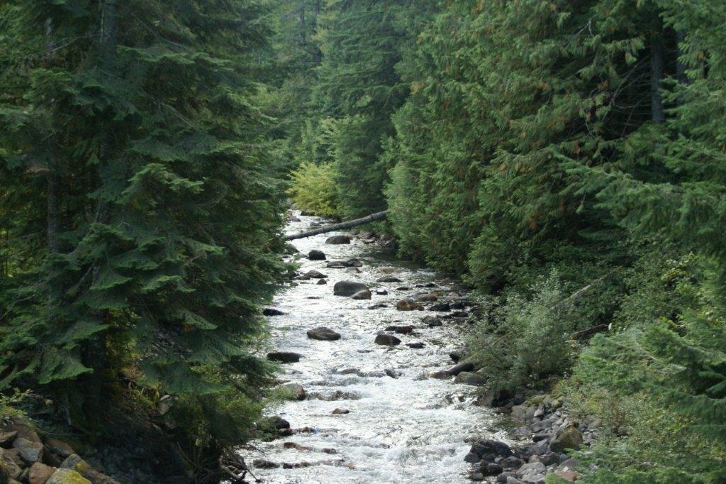 Bedroom 2 Photo of 70911 Old Hope Princeton Highway, Sunshine Valley, BC